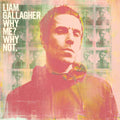 Liam Gallagher - Why Me? Why Not. - LP [ Record ]