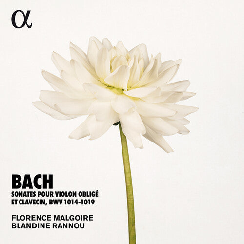 Bach, J.S. / Rannou / Malgoire: Sonates Violon Oblige { CD }
