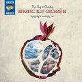 Various Artists: Sky Is Cloudy - CD
