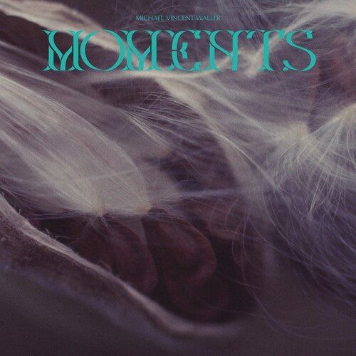 Michael Vincent Waller: Moments - COMPACT DISCS