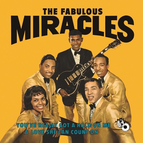 The Miracles - You've Really Got A Hold On Me - LP [ Record ]