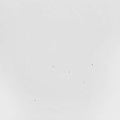 Todd Anderson-Kunert: Conjectures [ Vinyl ]