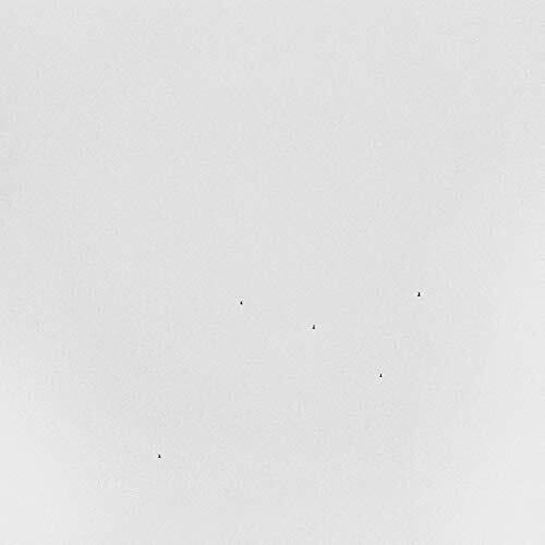 Todd Anderson-Kunert: Conjectures [ Vinyl ]