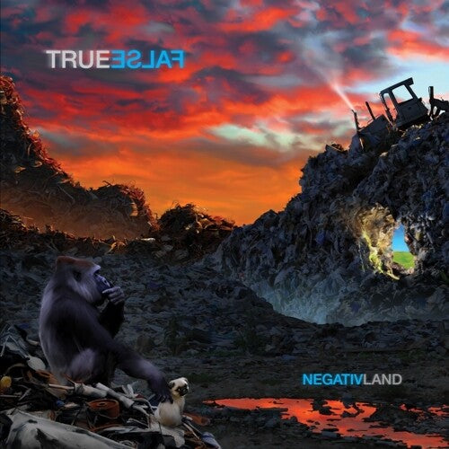 Negativland: True False - VINYL