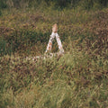Verite: New Skin - VINYL