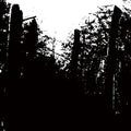 Maurizio Cascella: Mysterion - 12-INCH SINGLE