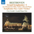 Beethoven / Gould Piano Trio / Grodd: Grand Symphonies 1 { CD }