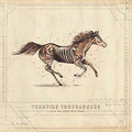 Turnpike Troubadours - A Long Way From Your Heart - LP [ Record ]