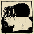 The Avett Brothers: Closer Than Together - VINYL