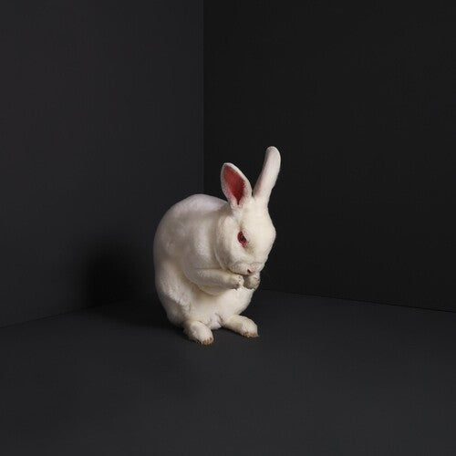 Brume: Rabbits - CD