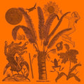 Various Artists: Heideology Part 1 (Various Artists) - 12-INCH SINGLE