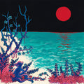 Glass Beach: the first glass beach album - CD