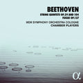 Wdr Sinfonieorchester Cologne Chamber Players: String Quintets 29 & 104 { CD }