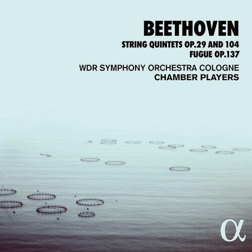 Wdr Sinfonieorchester Cologne Chamber Players: String Quintets 29 & 104 { CD }