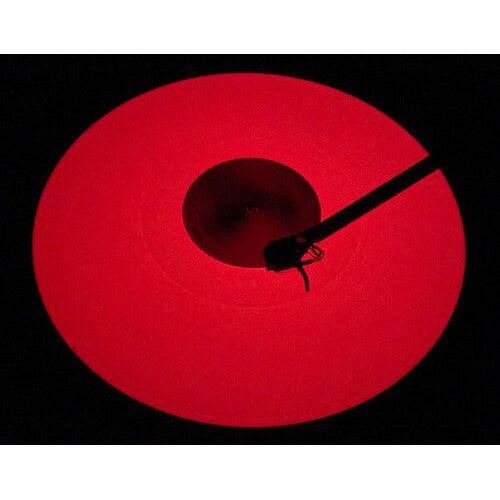 Warren Zevon - Excitable Boy - LP [ Record ]