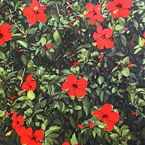 Real Live Tigers: Denatured [ Vinyl ]