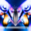Various Artists: Reflections { CD }