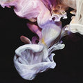 Simian Mobile Disco: Murmurations { CD }