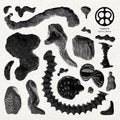 Rejoicer: Spiritual Sleaze [ Vinyl ]