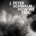 Jan-Peter Schwalm: How We Fall [ Vinyl ]