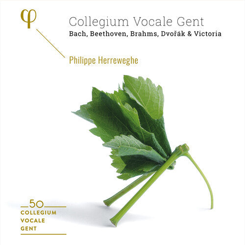 Various Artists: 50th Anniversary { CD }