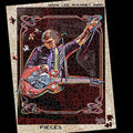 Jason Lee McKinney: Pieces [ Vinyl ]