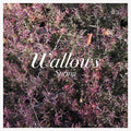 Wallows - Spring - 12" EP [ Record ]