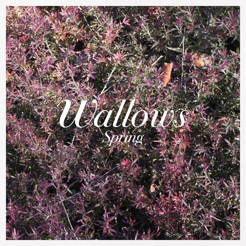 Wallows - Spring - 12" EP [ Record ]