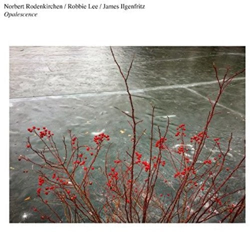 Norbert Rodenkirchen: Opalescence [ Vinyl ]