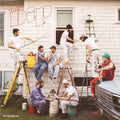The Dip: The Dip - VINYL