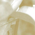 Jessamine: ab008 [ Vinyl ]