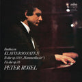 Peter Rosel: Klaviersonaten { CD }