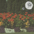 Imaginary Softwoods: Annual Flowers in Color [ Vinyl ]