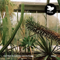 Myhr, Kim / Australian Art Orchestra: Vesper - CD