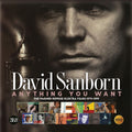 David Sanborn: Anything You Want: Warner / Reprise / Elektra Years (1975-1999) - CD