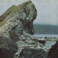 Motorama: Many Nights - VINYL
