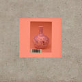 Momus: Vivid - COMPACT DISCS