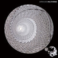 Airwaves: Multiverse - COMPACT DISCS