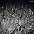 Cucina Povera & Els: The Oystercatcher [ Vinyl ]