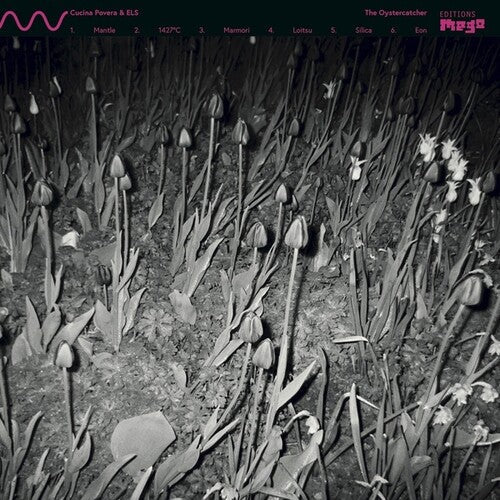Cucina Povera & Els: The Oystercatcher [ Vinyl ]