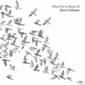 Sara Colman: What We're Made Of - CD