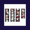 Cradle: Laughing In My Sleep { CD }