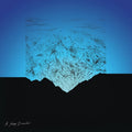 Miguel Mendez: A Sleep Disaster [ Vinyl ]