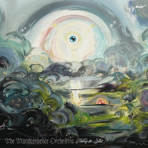 Transcendence Orchestra: Feeling The Spirit [ Vinyl ]