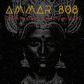 Ammar 808: Global Control / Invisible Invasion [ Vinyl ]