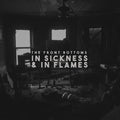 The Front Bottoms: In Sickness & In Flames - VINYL