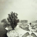 Beequeen: Winter [ Vinyl ]