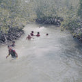 Bellows: Undercurrent [ Vinyl ]