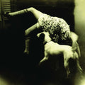 Over the Rhine: Good Dog Bad Dog: The Home Recordings [ Vinyl ]