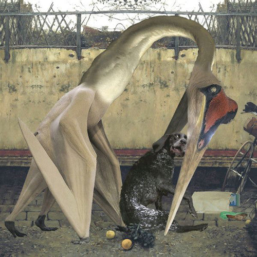 Rhadoo: Semantics [ Vinyl ]